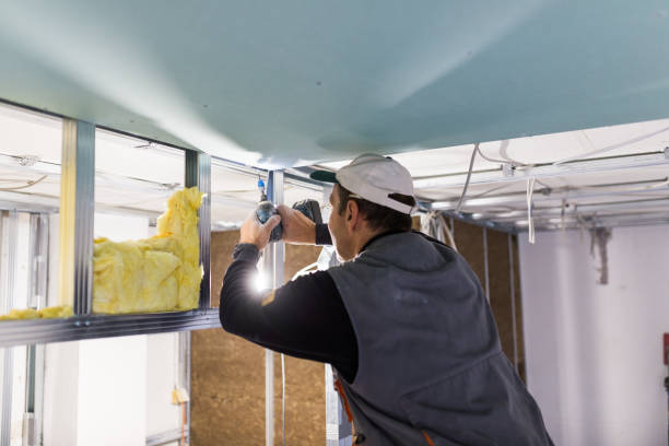 Best Garage Insulation Installation  in Cane Savannah, SC
