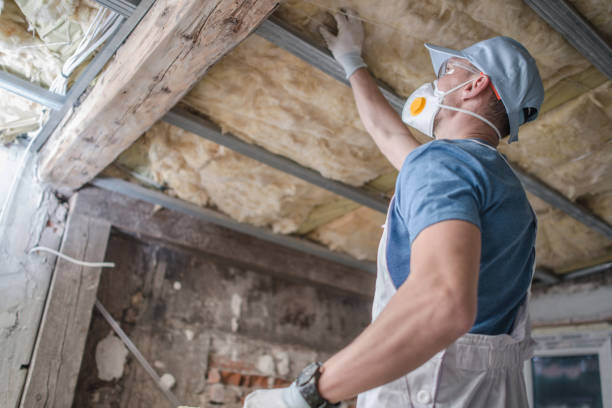 Best Attic Insulation Installation  in Cane Savannah, SC