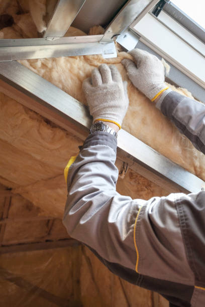 Best Insulation for New Construction  in Cane Savannah, SC