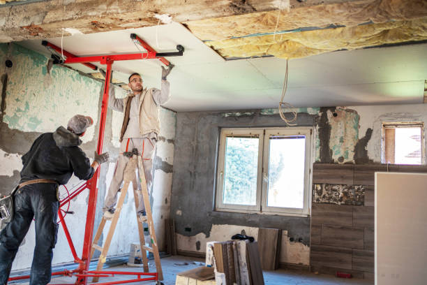 Best Spray Foam Insulation  in Cane Savannah, SC