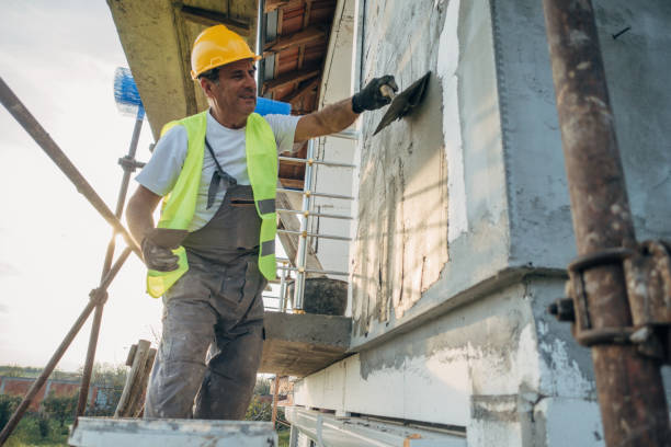 Best Wall Insulation Contractor  in Cane Savannah, SC