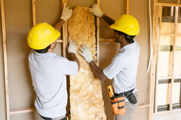 Best Best Insulation Companies  in Cane Savannah, SC