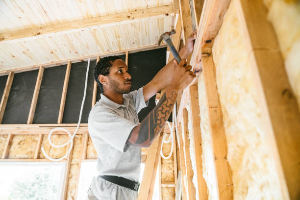 Best Blown-in Insulation  in Cane Savannah, SC