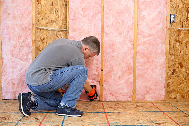 Attic Insulation Near Me in Cane Savannah, SC