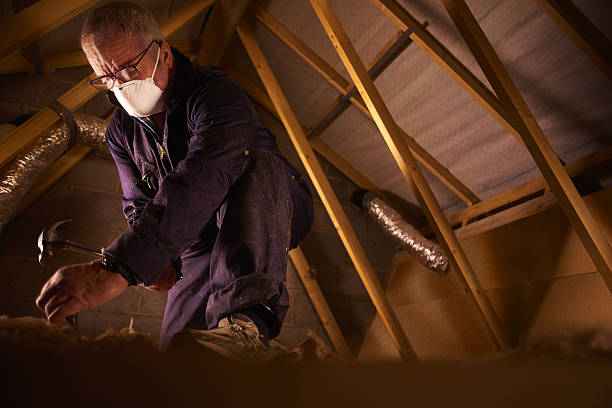 Insulation Inspection Services in Cane Savannah, SC