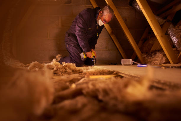 Best Commercial Insulation Contractor  in Cane Savannah, SC